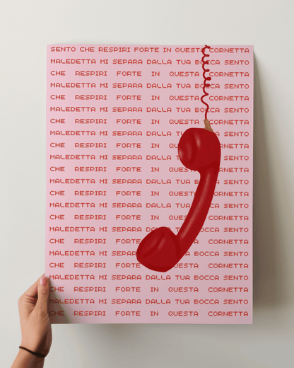 Cornetta, 2008
